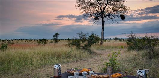 Tintswalo Safari Lodge